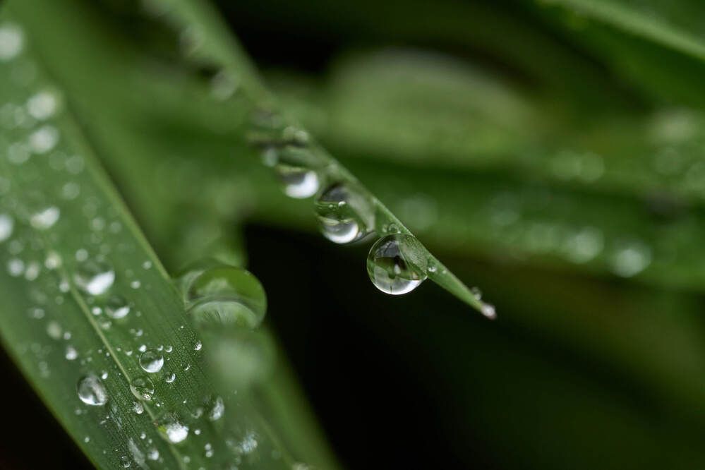 Photograph by Dana Korolkova