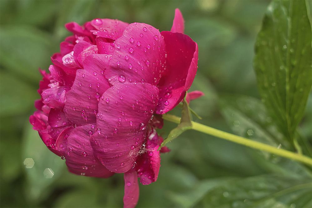 Photograph by миша