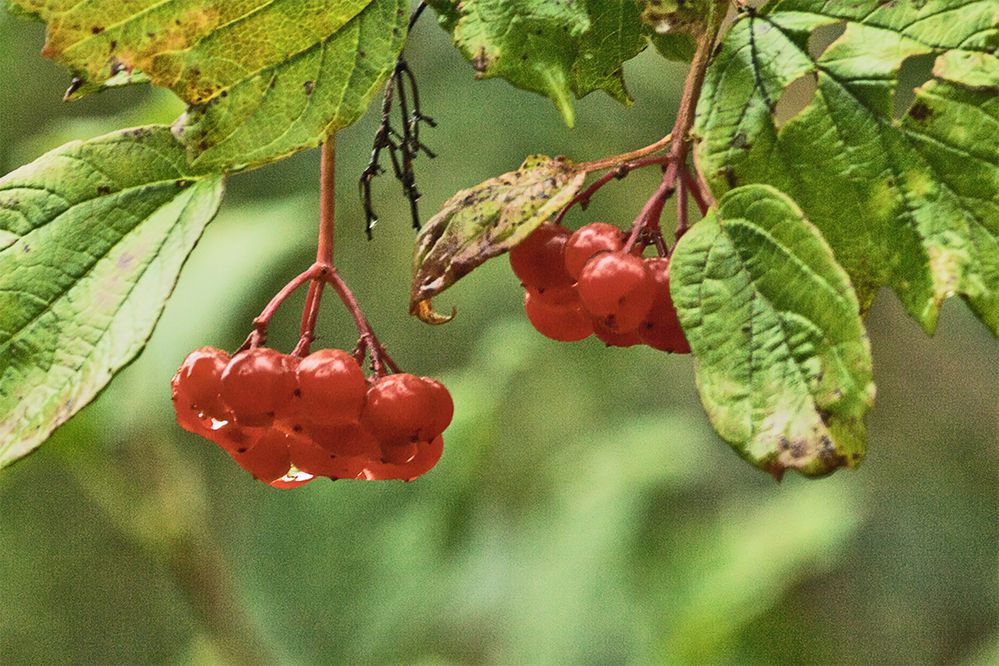 Photograph by миша