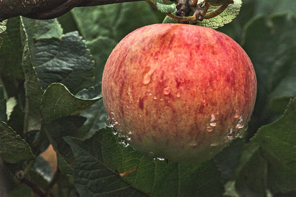 Photograph by миша