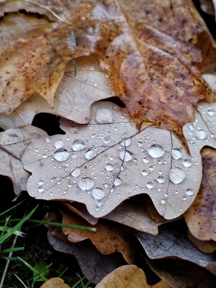 Фотография автора Юлия Ю.