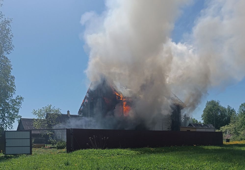 Фотография автора Алла Бойко