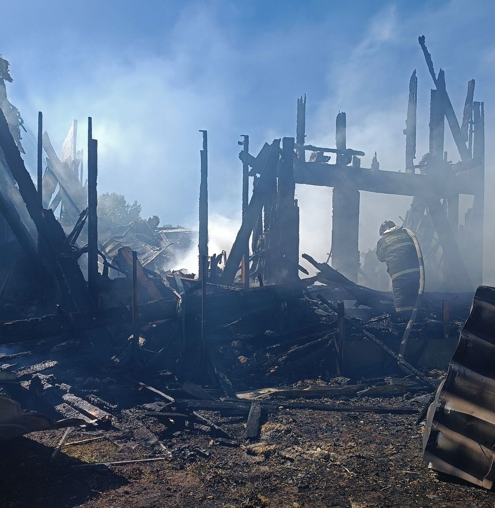 Фотография автора Алла Бойко