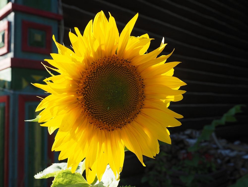 Photograph by Андрей Анатольевич