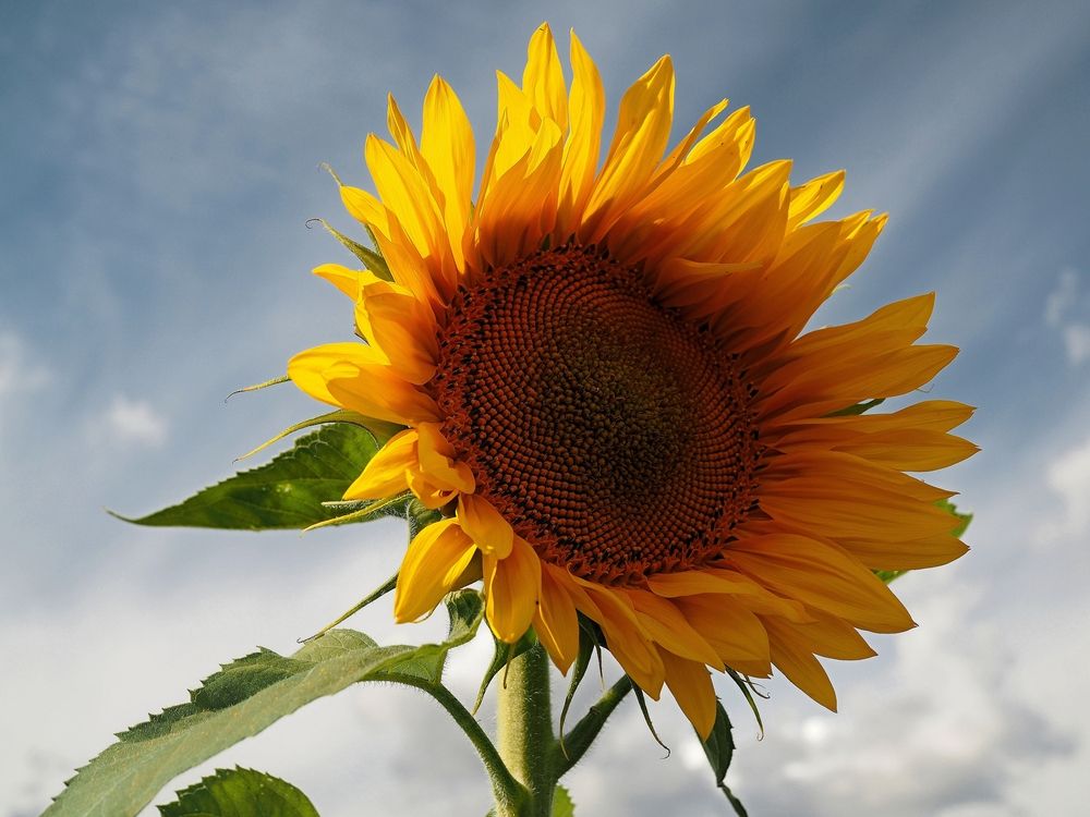 Photograph by Андрей Анатольевич