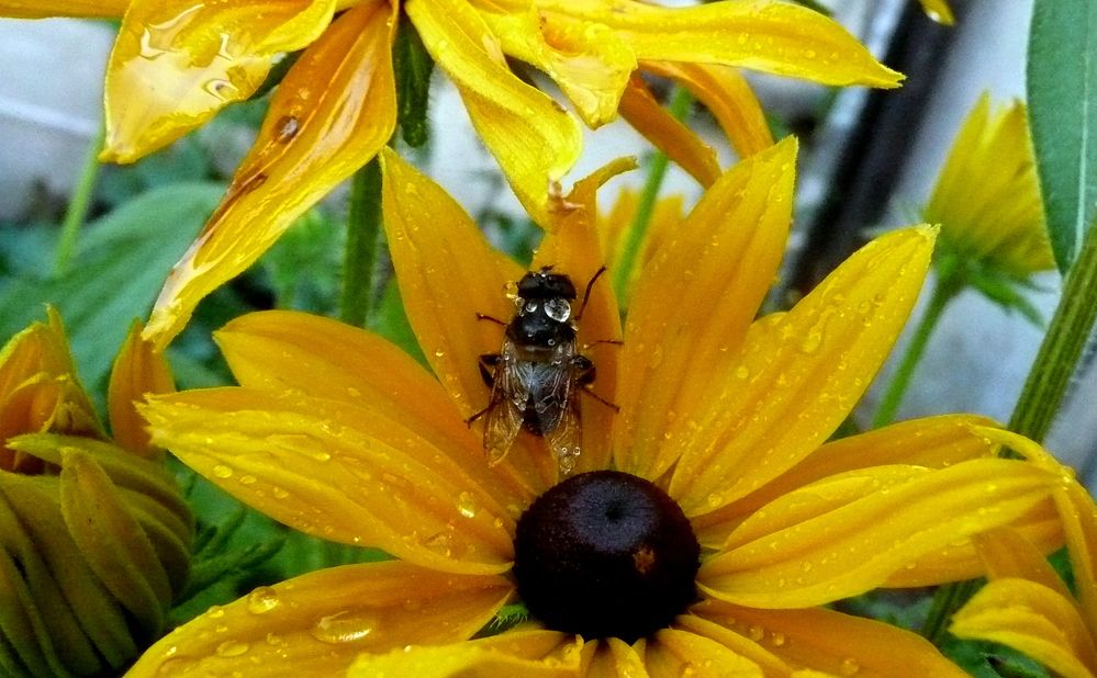 Photograph by Александр Бастраков