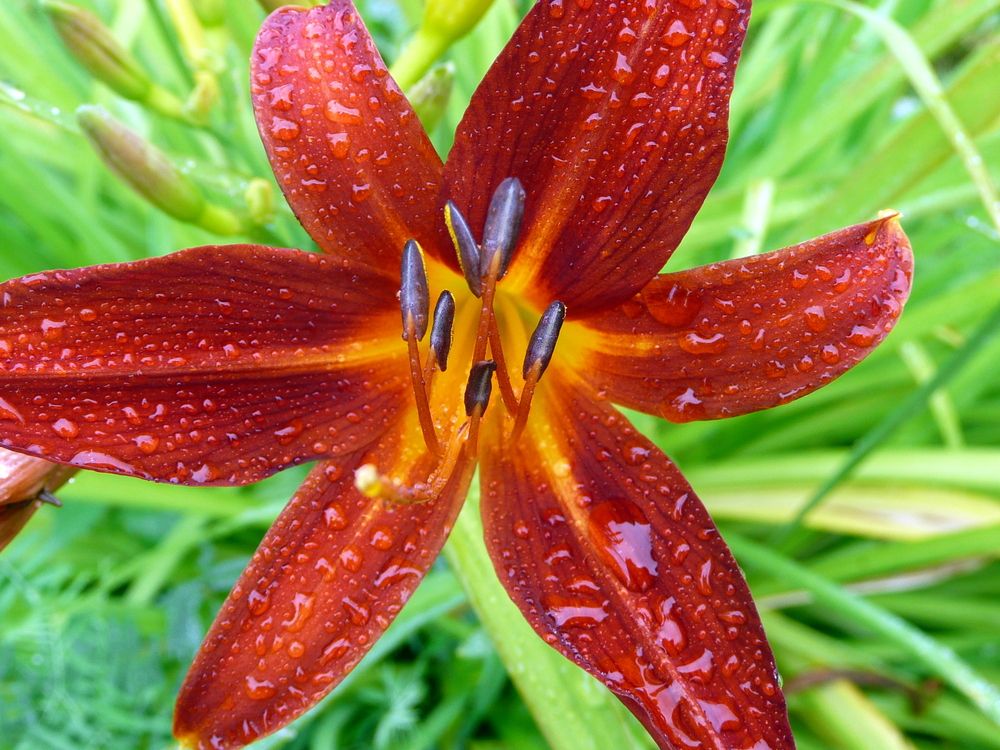 Photograph by Александр Бастраков