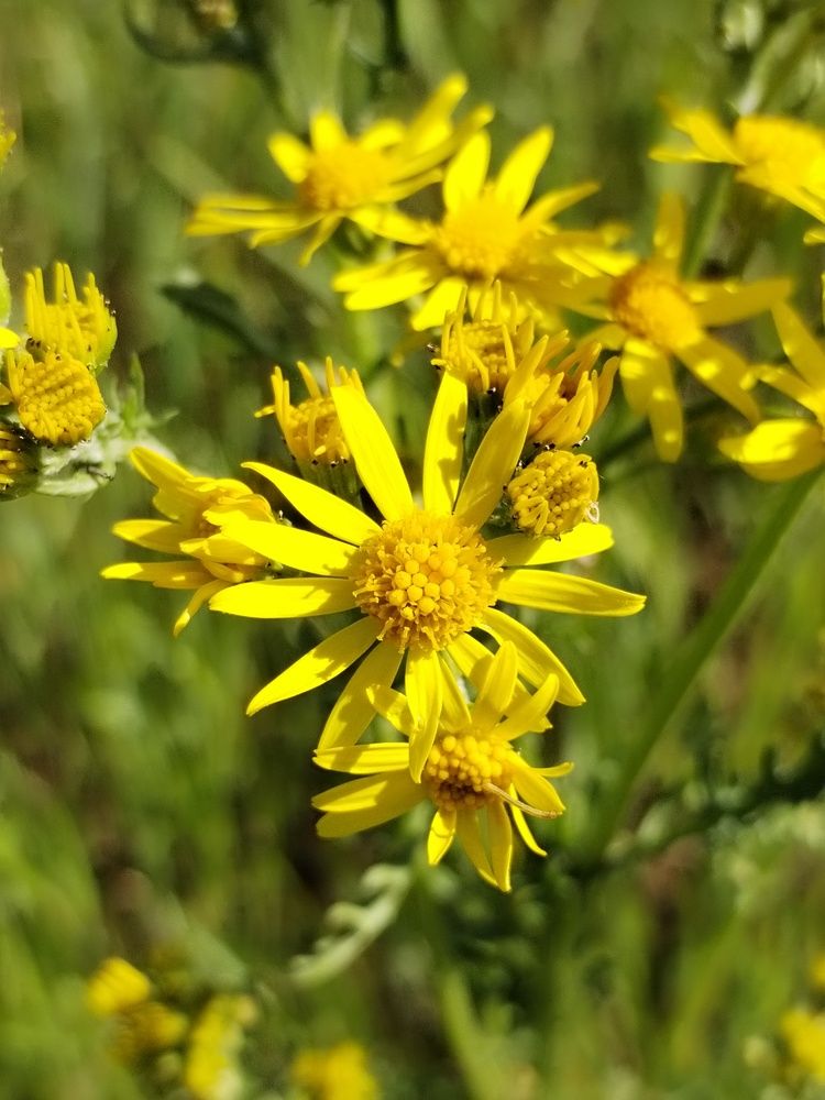 Фотография автора Юлия Ю.