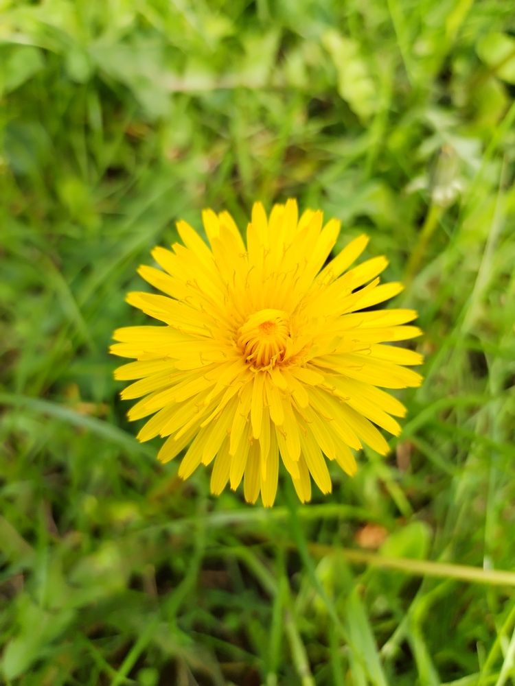 Фотография автора Юлия Ю.