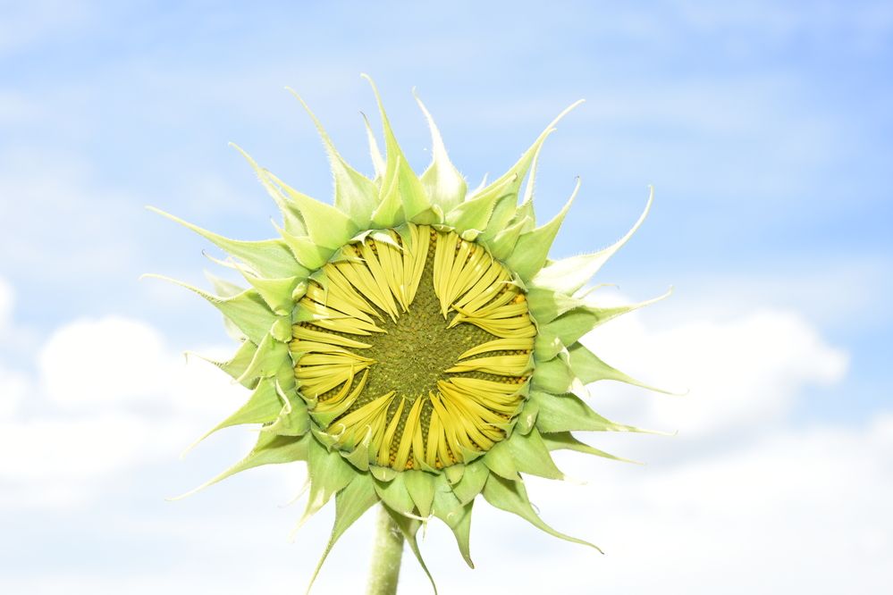 Фотография автора Юлия Ю.