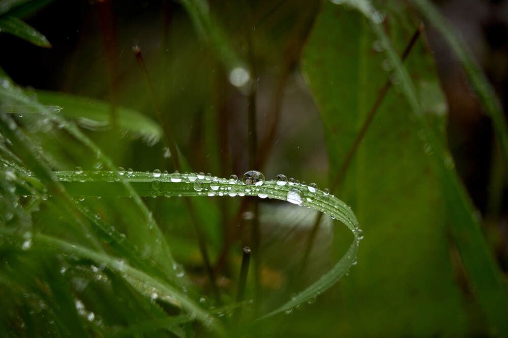 Photograph by Dana Korolkova