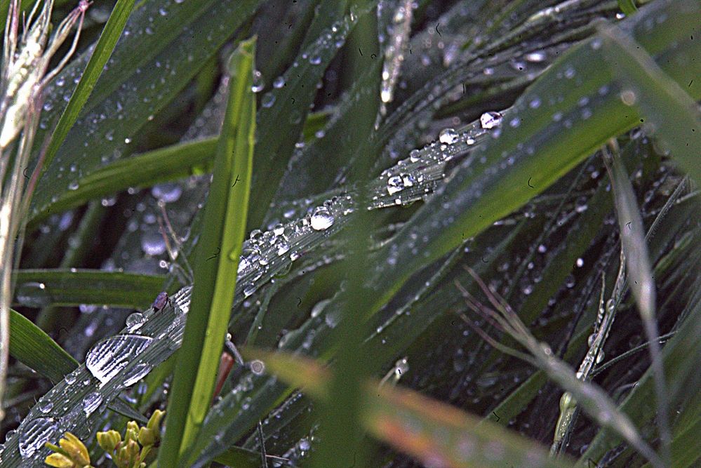 Фотография автора Сергей Рапопорт