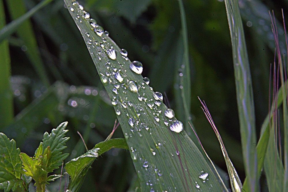 Фотография автора Сергей Рапопорт