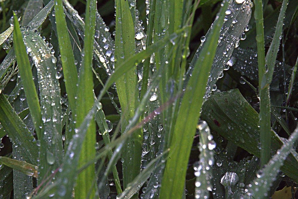 Фотография автора Сергей Рапопорт