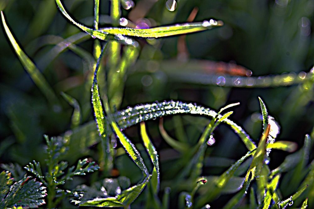 Фотография автора Сергей Рапопорт