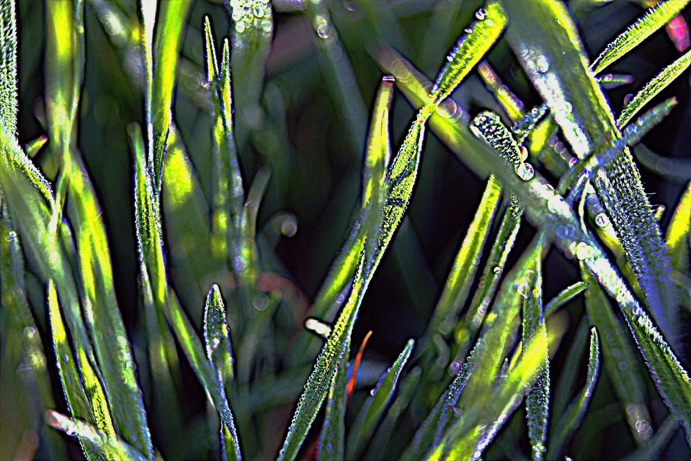 Фотография автора Сергей Рапопорт