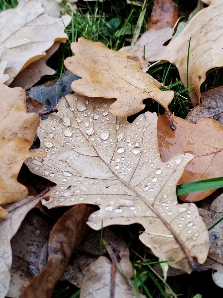 Фотография автора Юлия Ю.