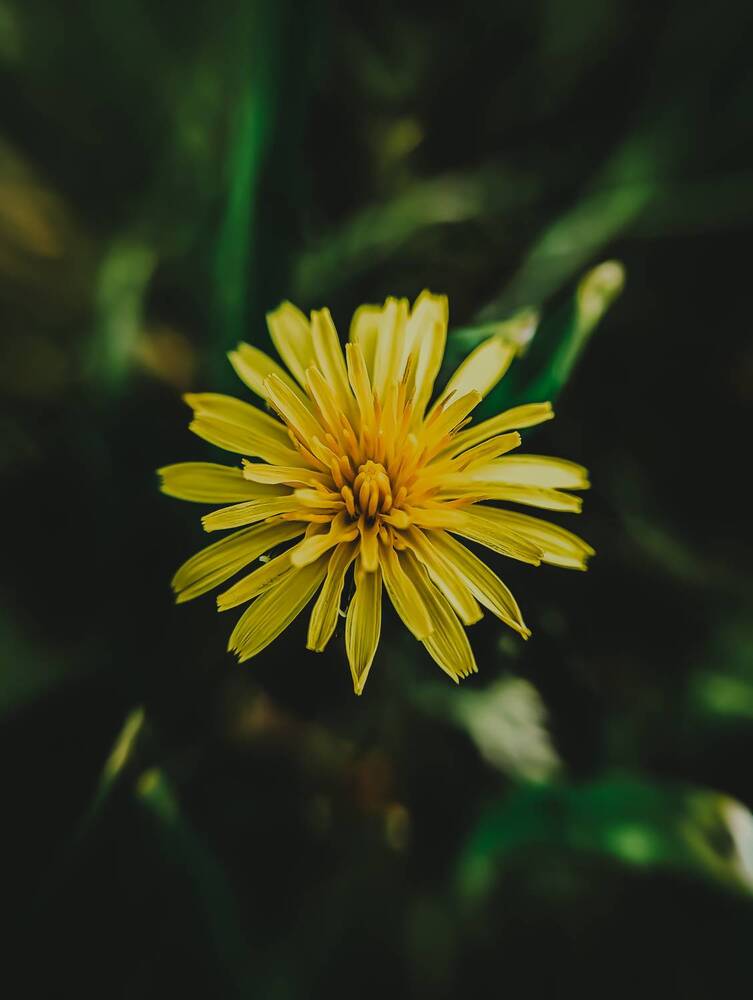 Фотография автора Светлана Таркан