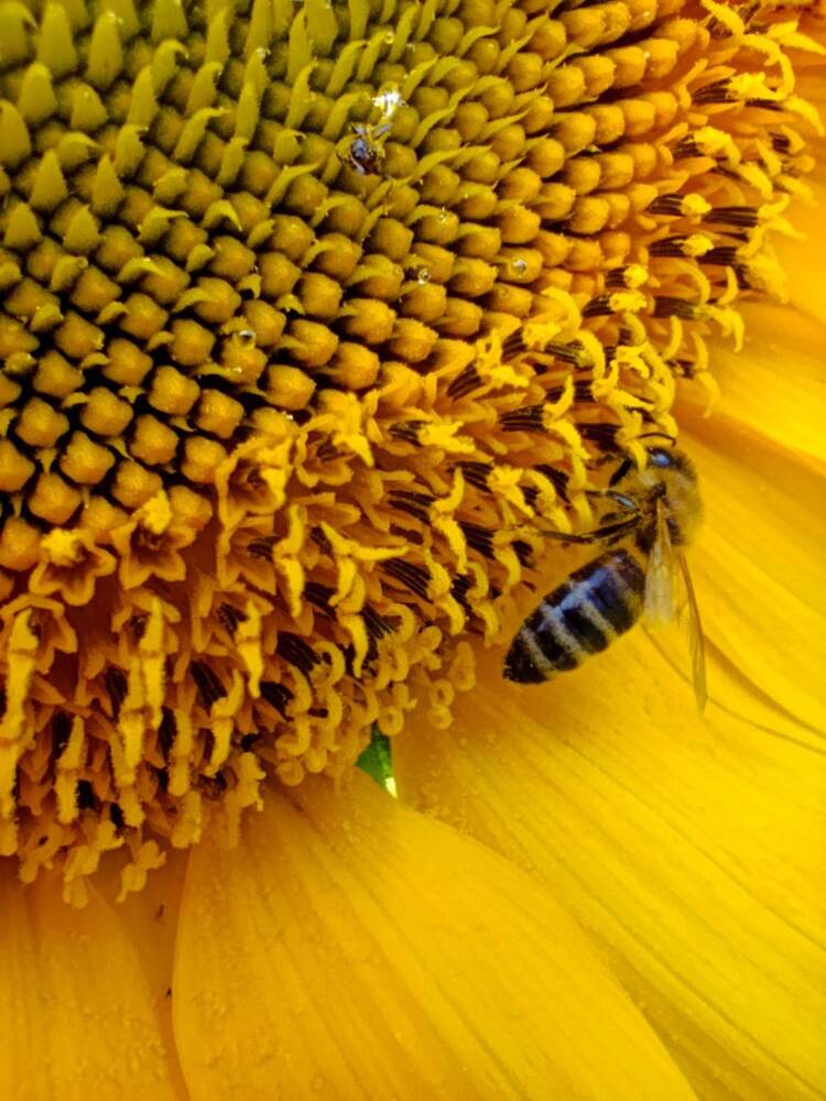 Фотография автора Светлана Таркан