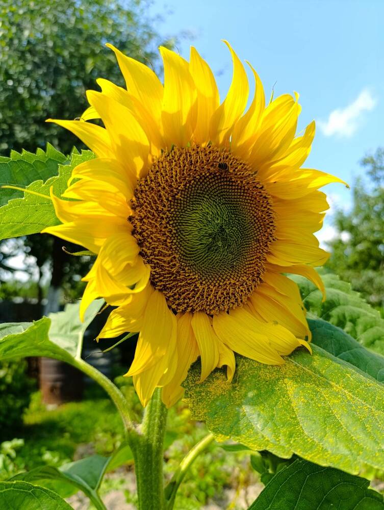 Фотография автора Светлана Таркан