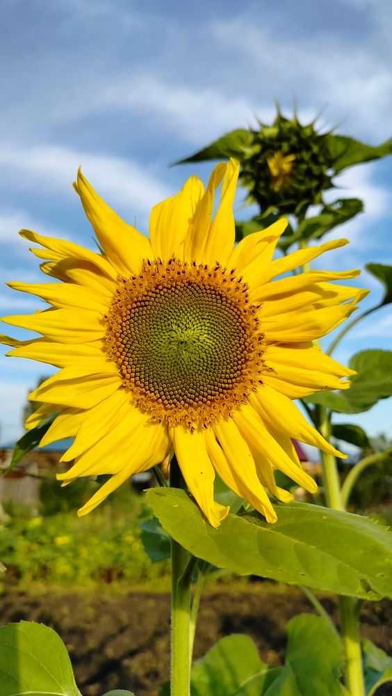 Фотография автора Анастасия Горбачева