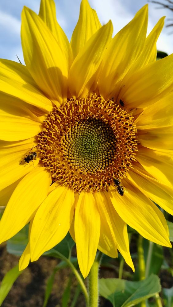 Фотография автора Анастасия Горбачева