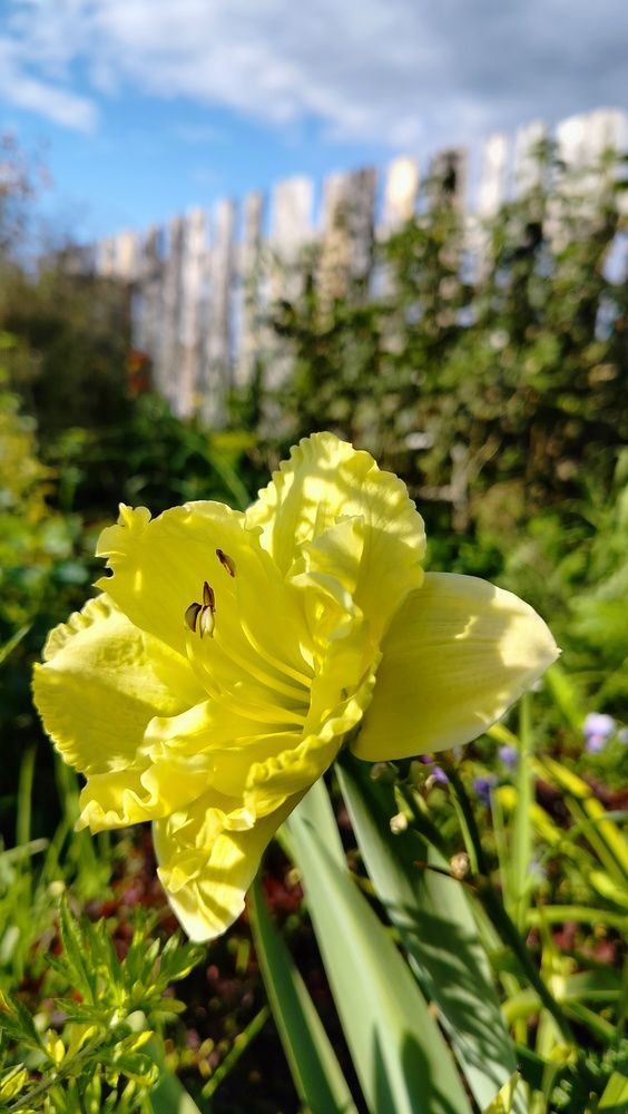 Фотография автора Анастасия Горбачева