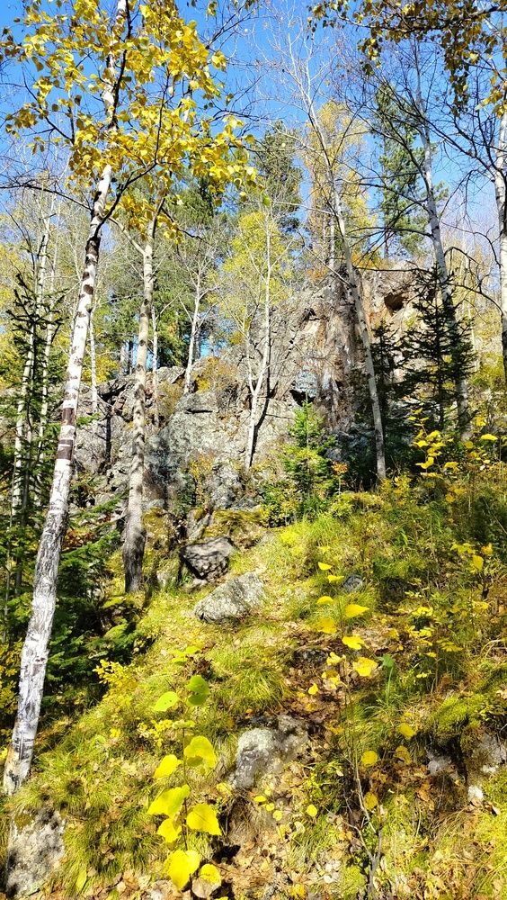 Фотография автора Анастасия Горбачева