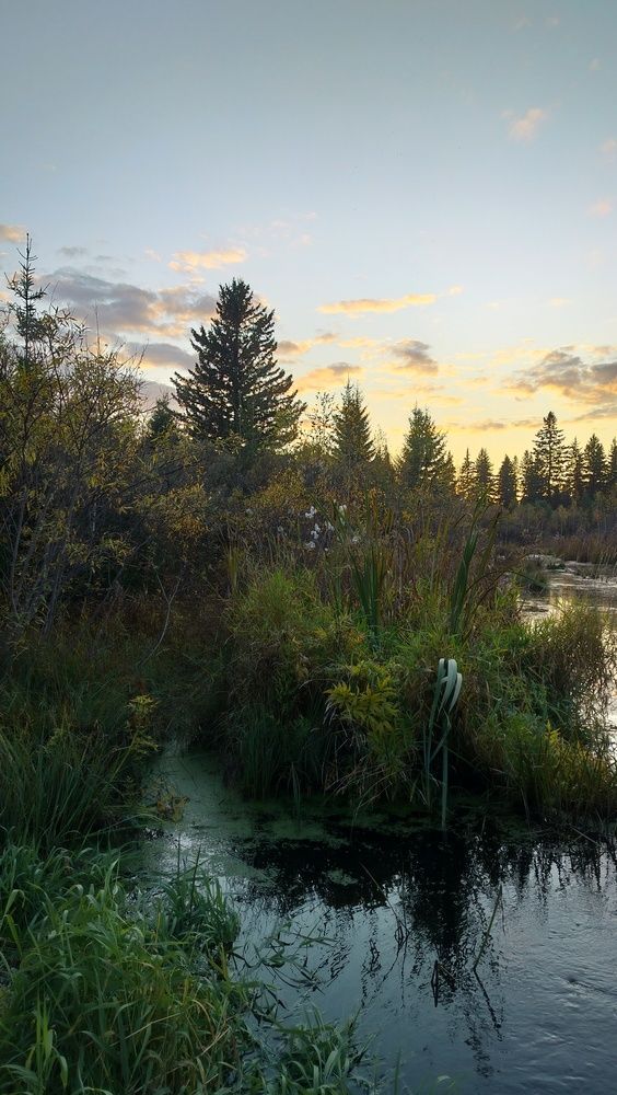Фотография автора Анастасия Горбачева