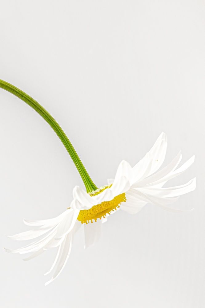 Фотография автора Екатерина Першина