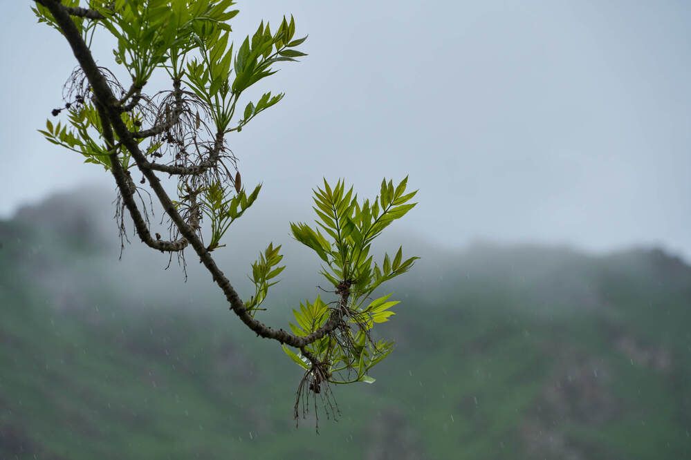 Photograph by Dana Korolkova