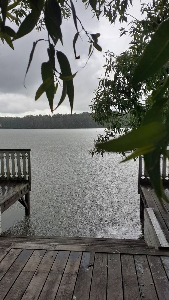 Фотография автора Елена Лещева