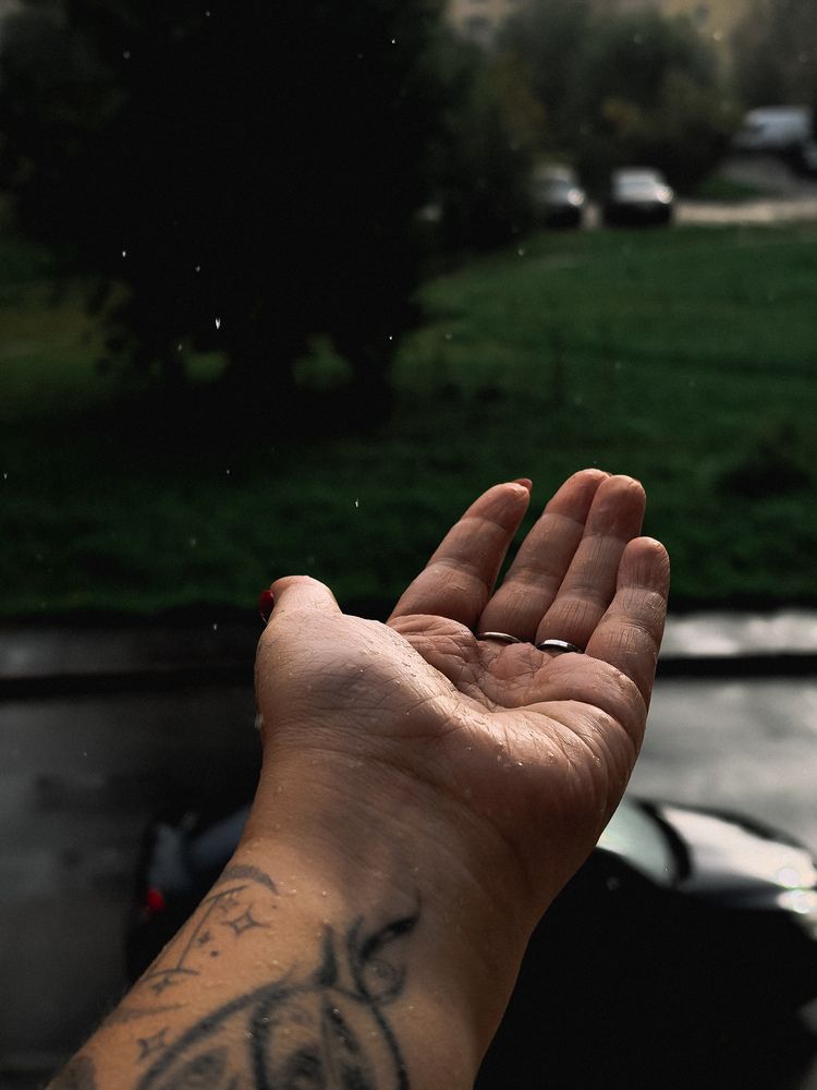 Фотография автора Анна Ворончихина