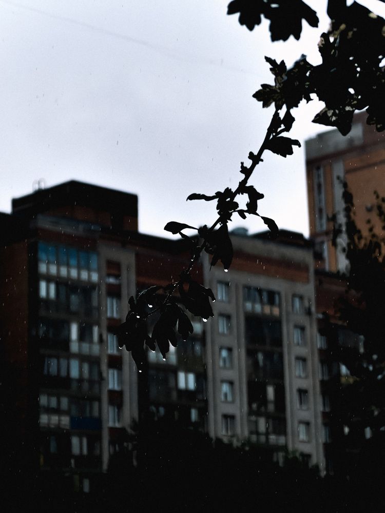 Фотография автора Анна Ворончихина