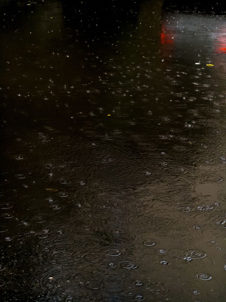 Фотография автора Анна Ворончихина