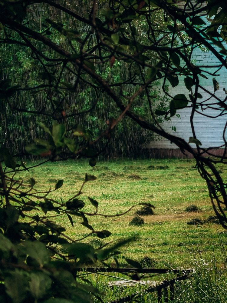 Фотография автора Анна Ворончихина