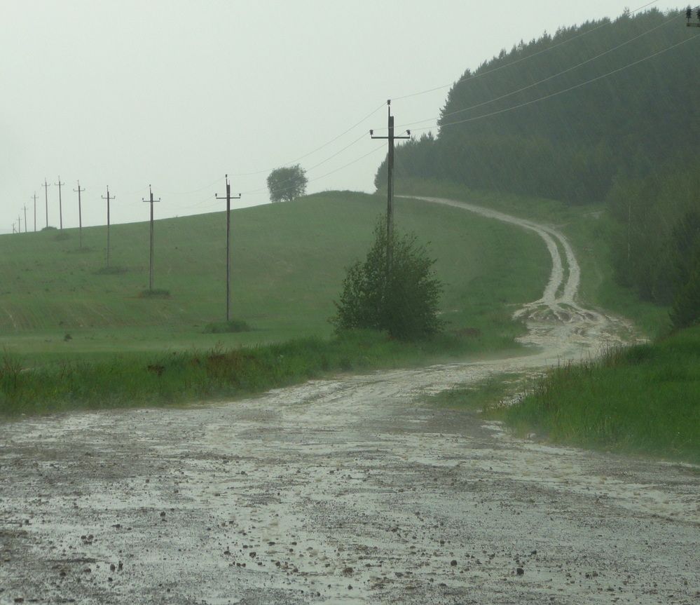 Photograph by Александр Бастраков