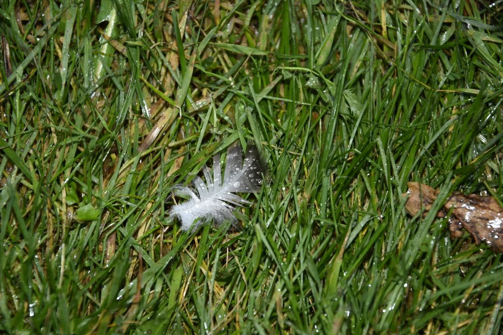 Фотография автора Юлия Ю.