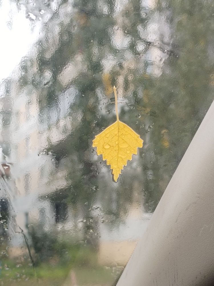 Фотография автора Юлия Ю.