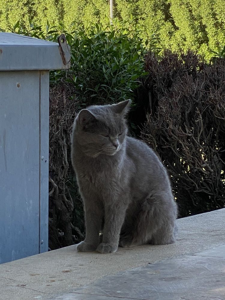 Photograph by Prasad babu Geddam