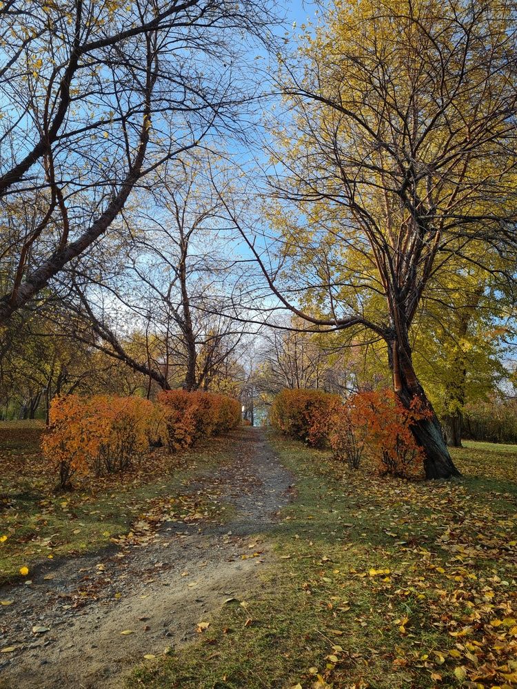 Фотография автора Константин Шипицын