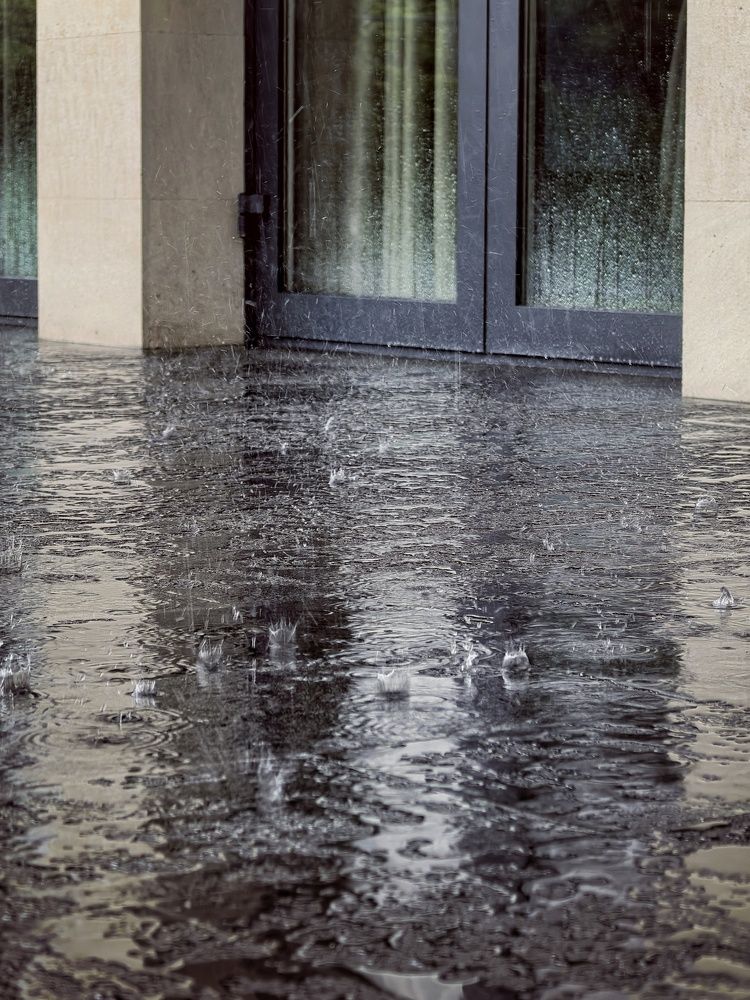 Photograph by Оксана Абакумова