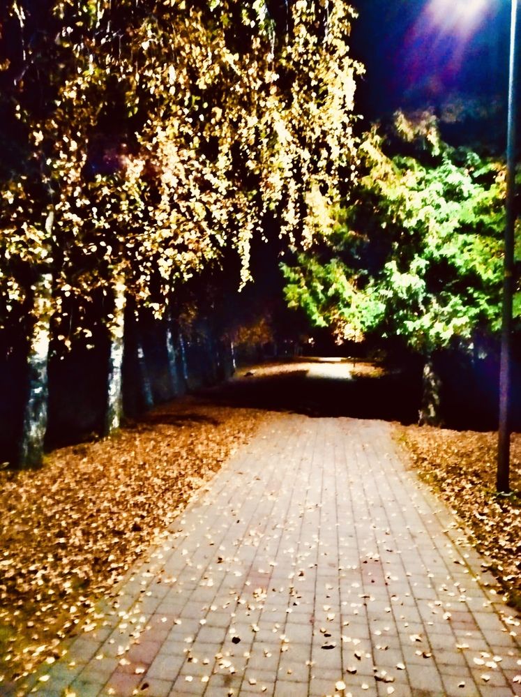 Photograph by Anna Krivorucko