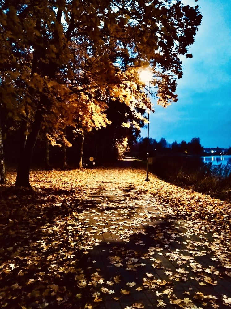 Photograph by Anna Krivorucko