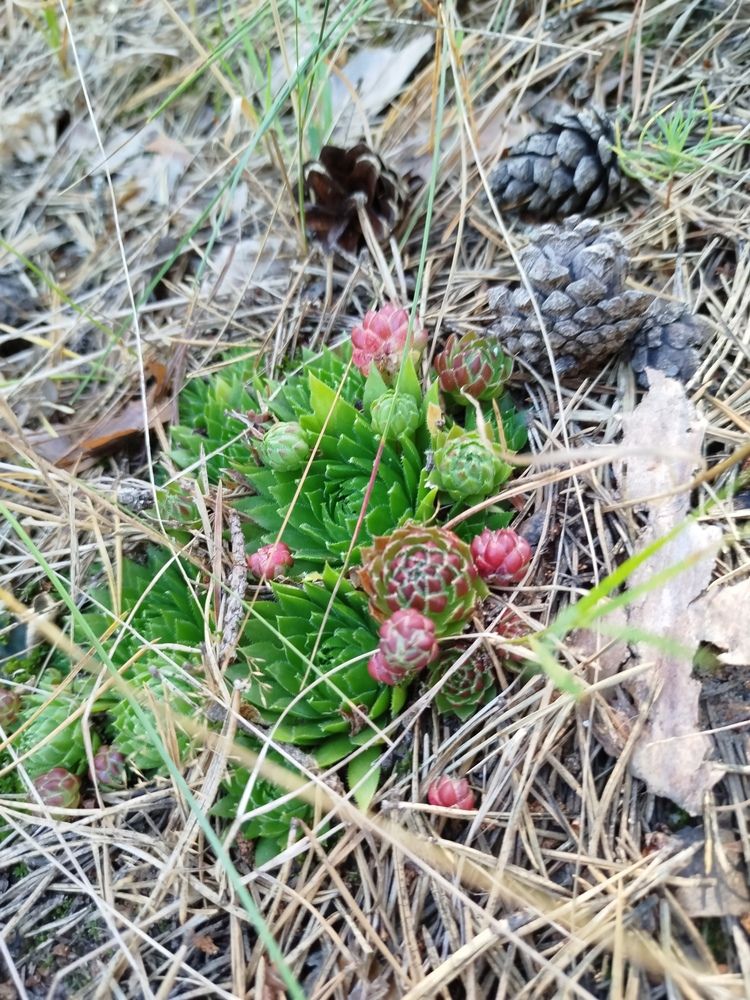 Photograph by Евгения Семёнова