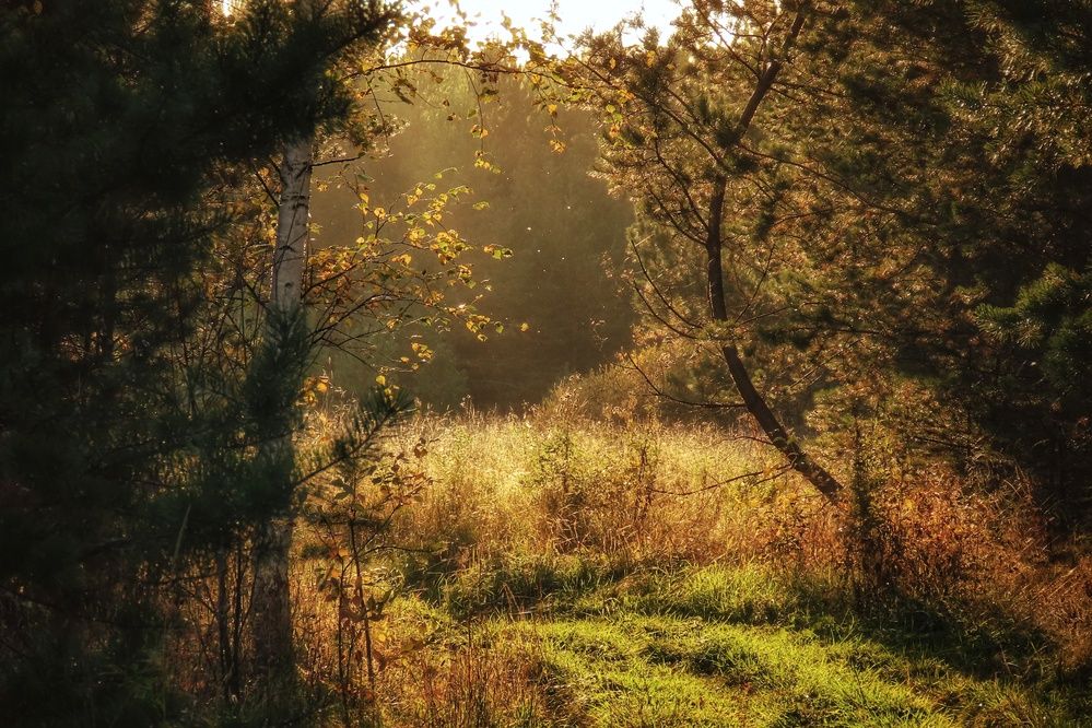 Photograph by Екатерина Солохина