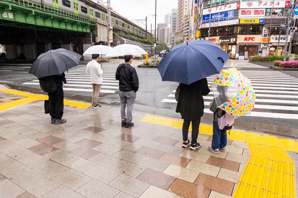 Фотография автора SHAKE MD SAMIR