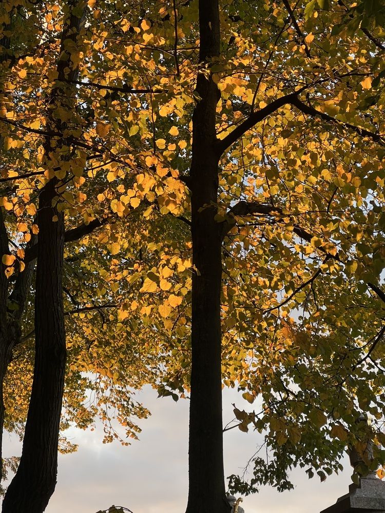 Фотография автора Юлия Белоногая