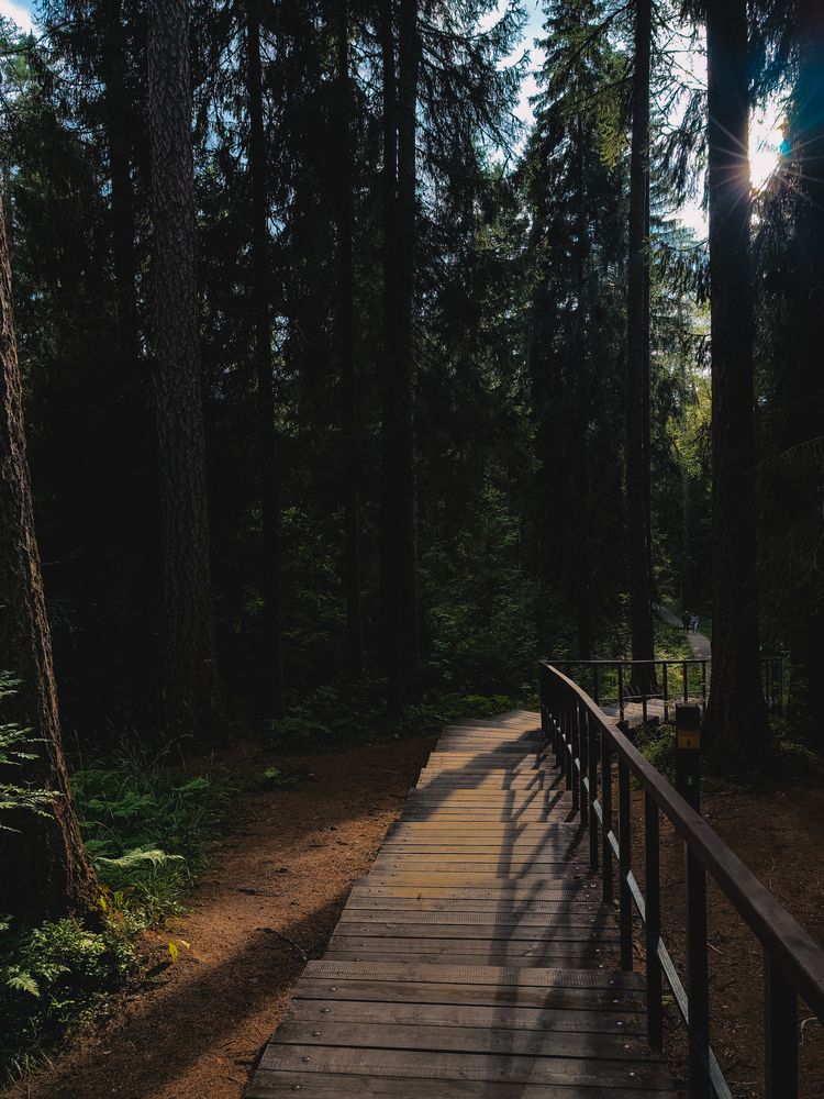 Фотография автора Анна Ворончихина