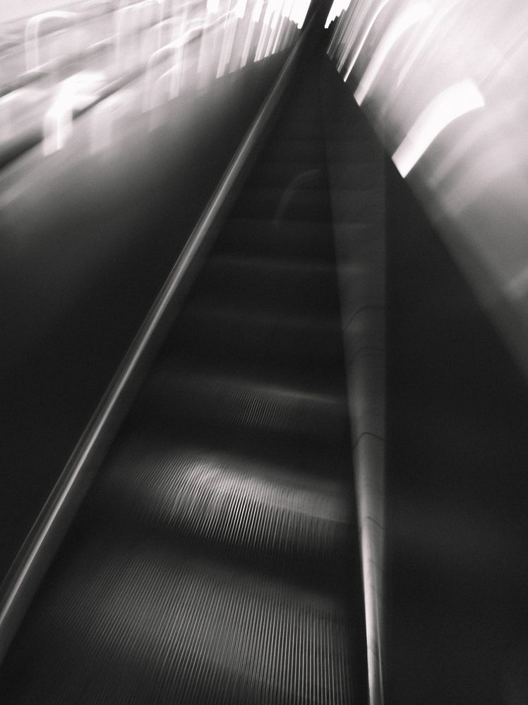 Фотография автора Анна Ворончихина